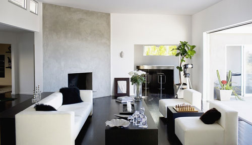 Northern Saw-Whet Owl