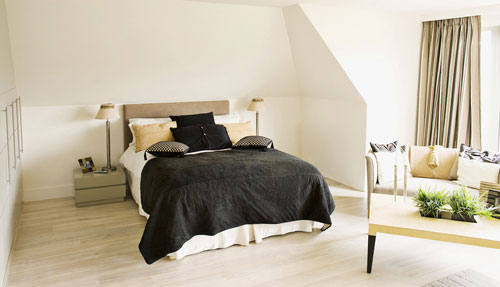 Northern Saw-Whet Owl