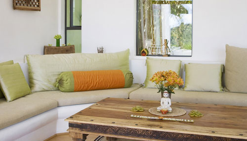 Northern Saw-Whet Owl